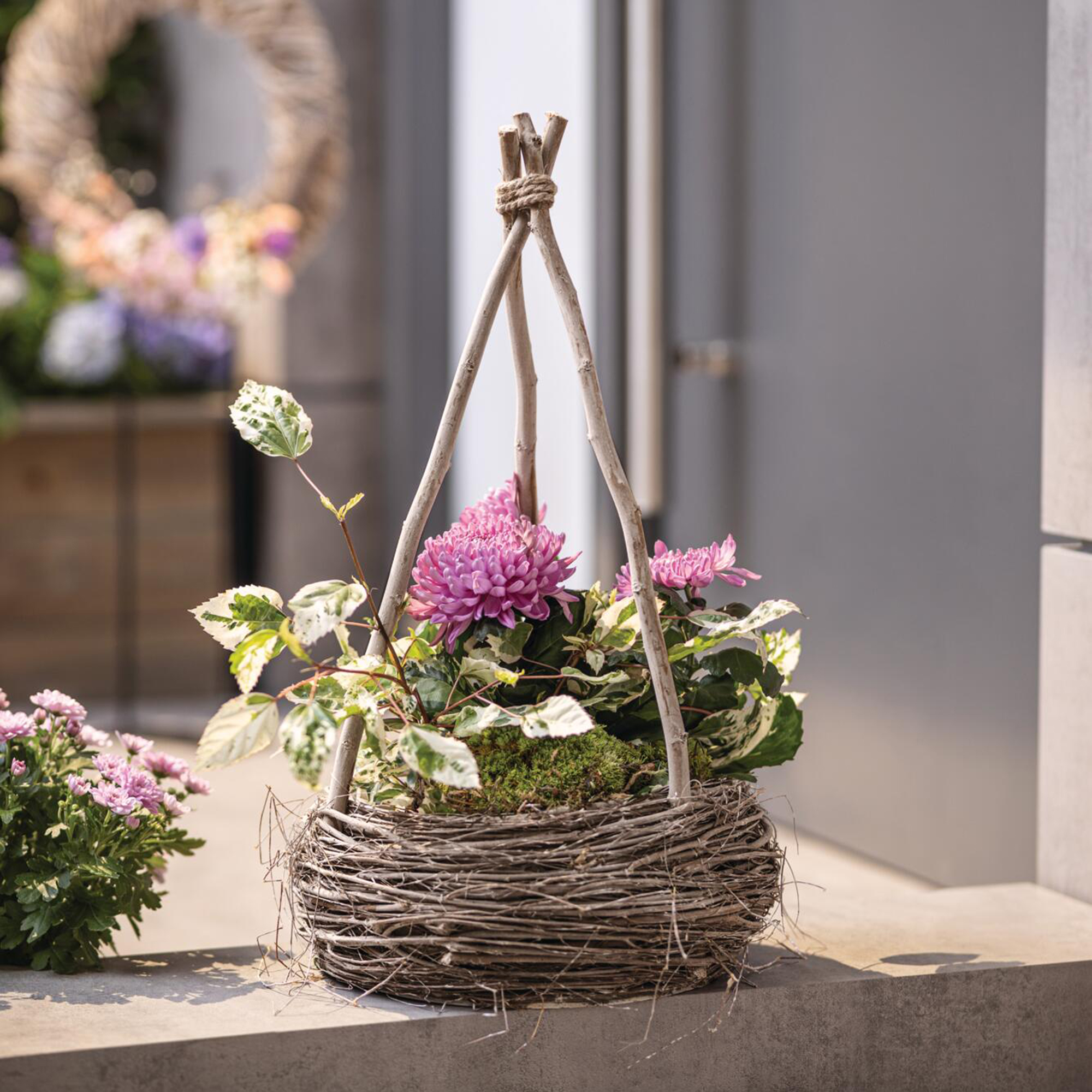 Pflanzer "Rank-Pyramide"  im Frank Flechtwaren Online Shop kaufen