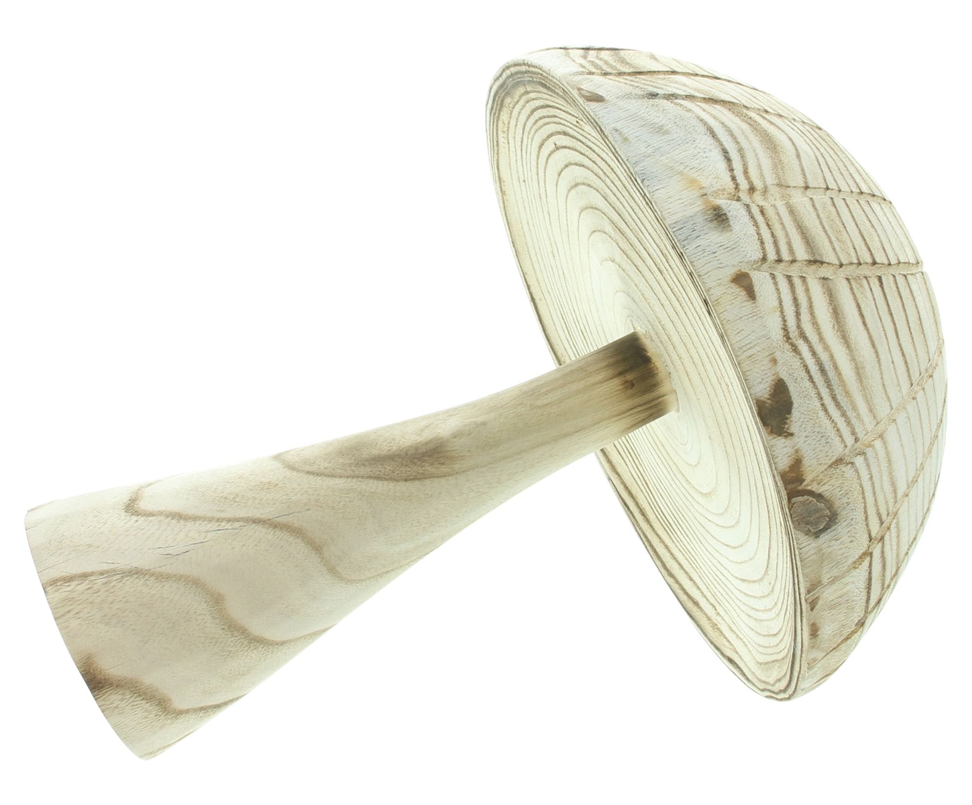 Holzdeko "Mushroom", groß im Frank Flechtwaren Online Shop für Herbst kaufen Holzdeko "Mushroom", groß im Frank Flechtwaren Online Shop für Herbst kaufen