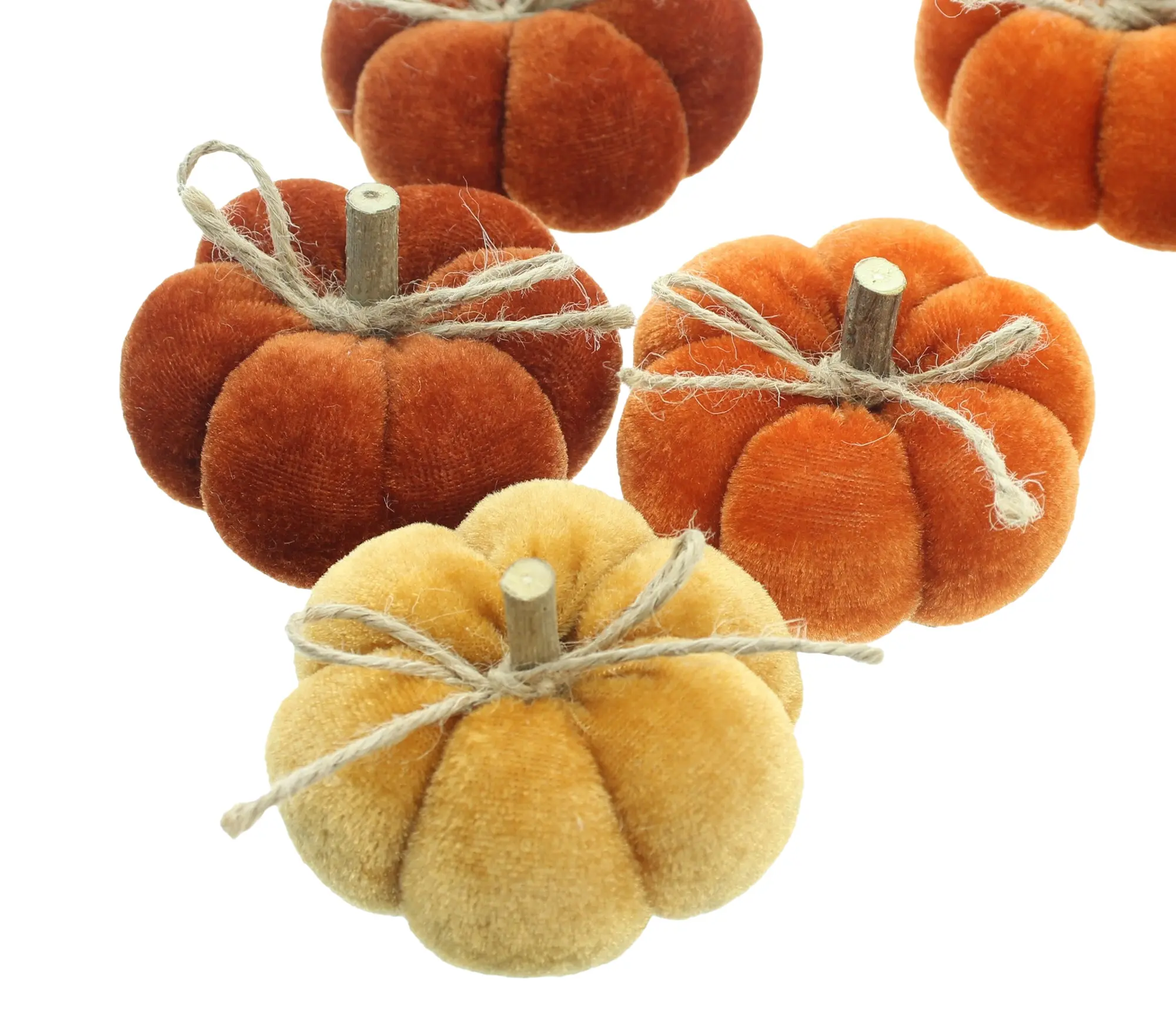 Kürbis "Herbstfarben", 6er Set im Frank Flechtwaren Online Shop für Dekokürbisse kaufen Kürbis "Herbstfarben", 6er Set im Frank Flechtwaren Online Shop für Dekokürbisse kaufen