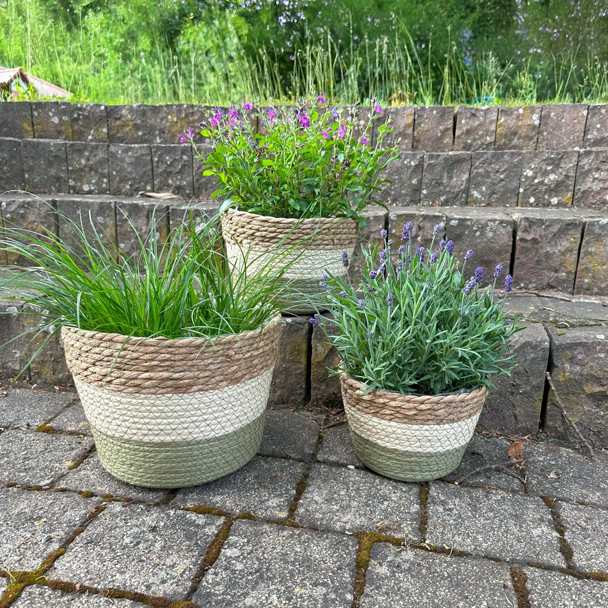 Pflanzer "Naturfarben", mittel im Frank Flechtwaren Online Shop für Pflanzkörbe kaufen Pflanzer "Naturfarben", mittel im Frank Flechtwaren Online Shop für Pflanzkörbe kaufen