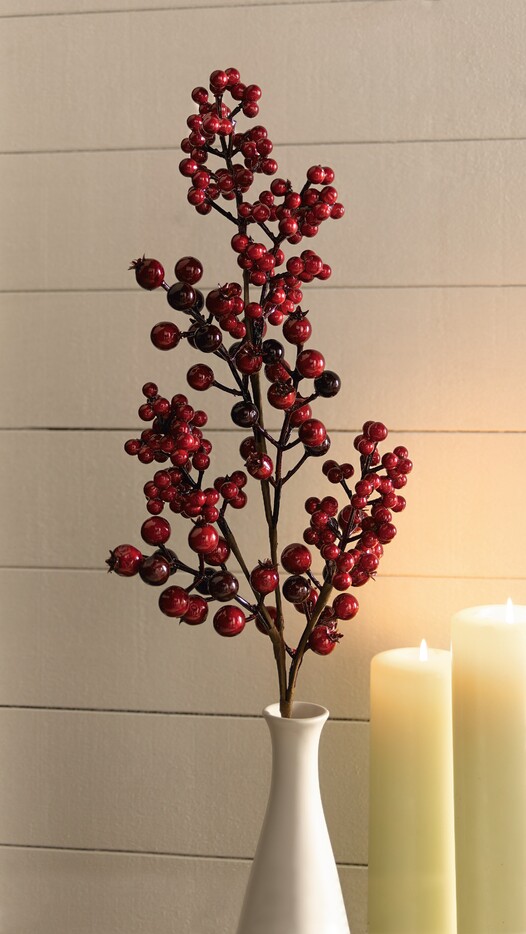 Beerenzweig Zweig mit Beeren Dekoration Herbst Weihnachten rot 