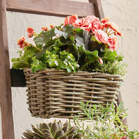Balkonpflanzer "Rattan", klein jetzt für 14.95 Euro kaufen im Frank Flechtwaren und Deko Online Shop