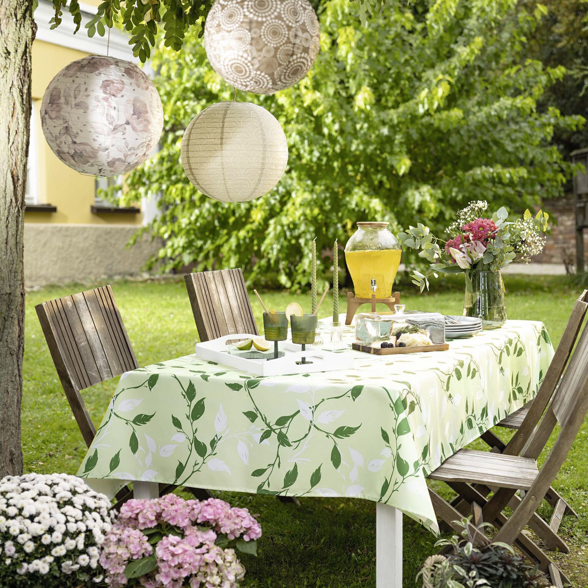 Frank (film) intelligence overview